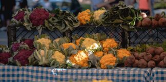 Piacozás Baján: őstermelők, friss zöldségek és a legjobb helyi kézműves sajtok Színes termelői piac roskadozó zöldség- és gyümölcsös standokkal Baján